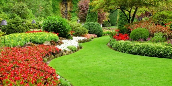 shurbs, borders and lawn landscaping in birmingham