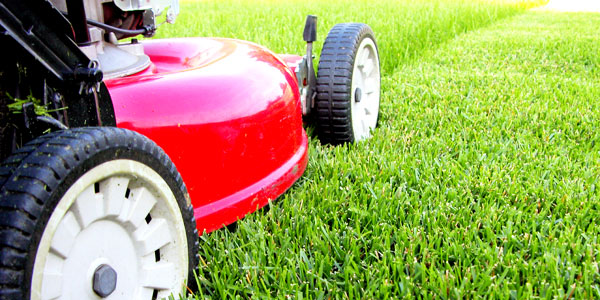 an affordable grounds maintenance service for birmingham businesses