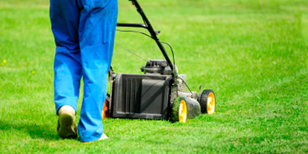 seasonal grounds maintenance birmingham